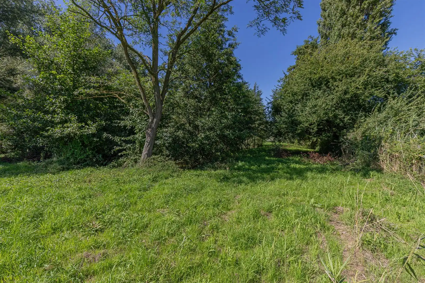 Exclusieve bouwgrond te koop Sint-Onolfsdijk, Dendermonde foto 10