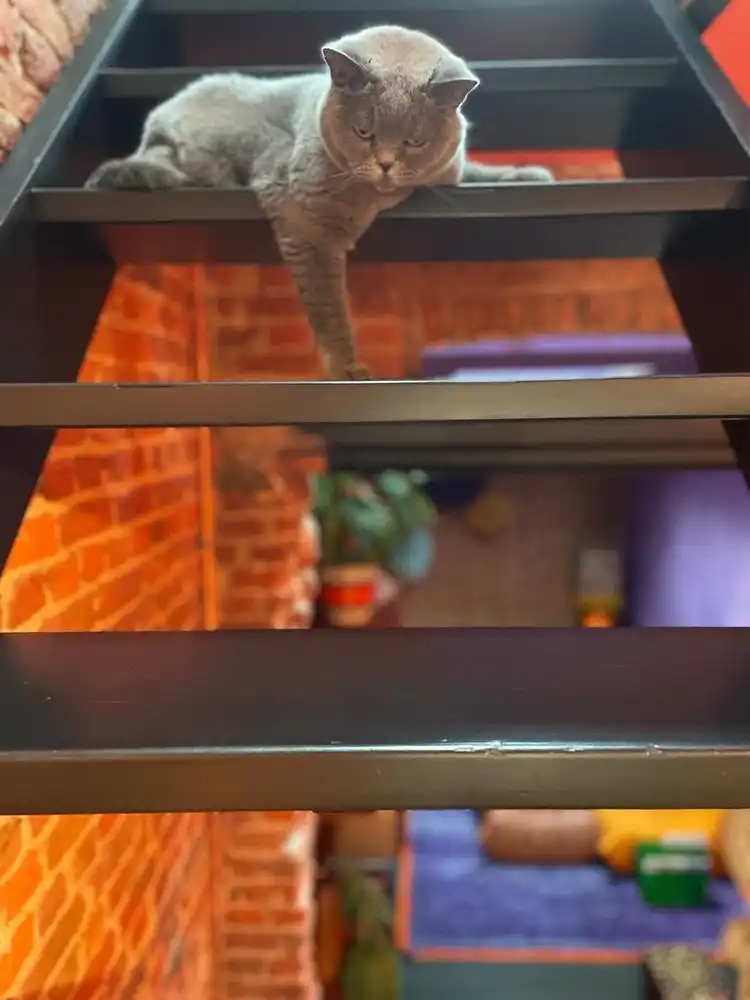 Karaktervolle erfgoedwoning op topligging tegenover de Sint-Gummaruskerk. foto 5