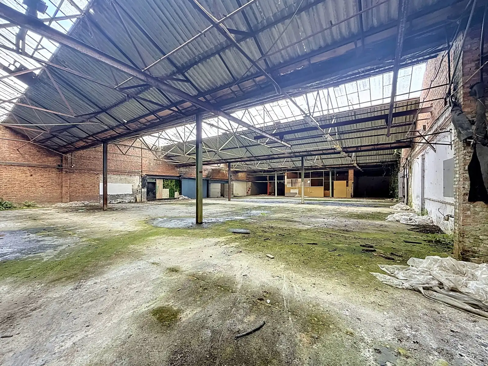Unieke projectgrond met potentieel in Zichem foto 23