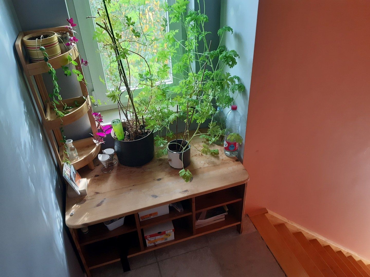 Aangename woning (Half Open). foto 14