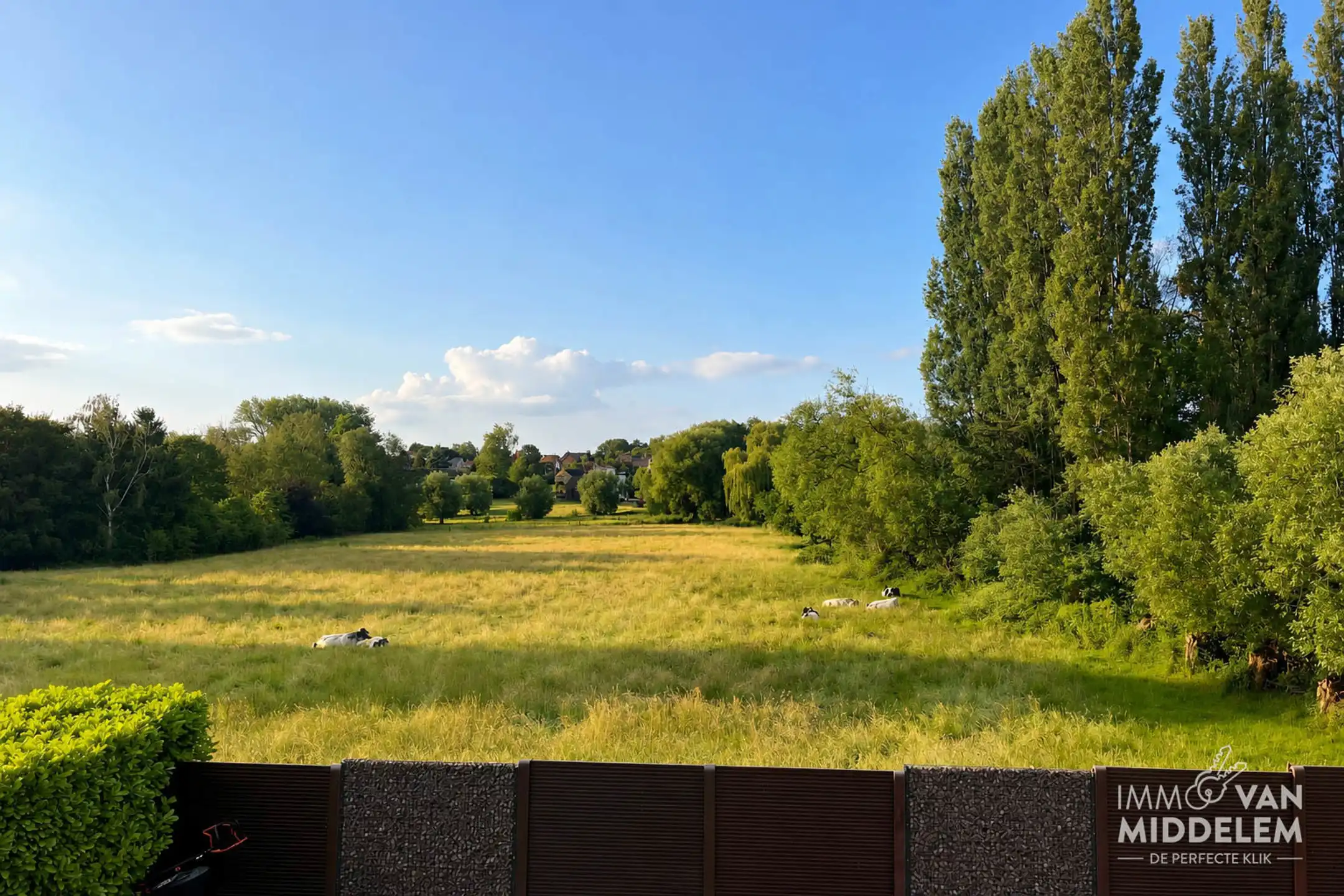 VILLA MET 5 SLAAPKAMERS, ZWEMBAD EN GARAGE foto 24
