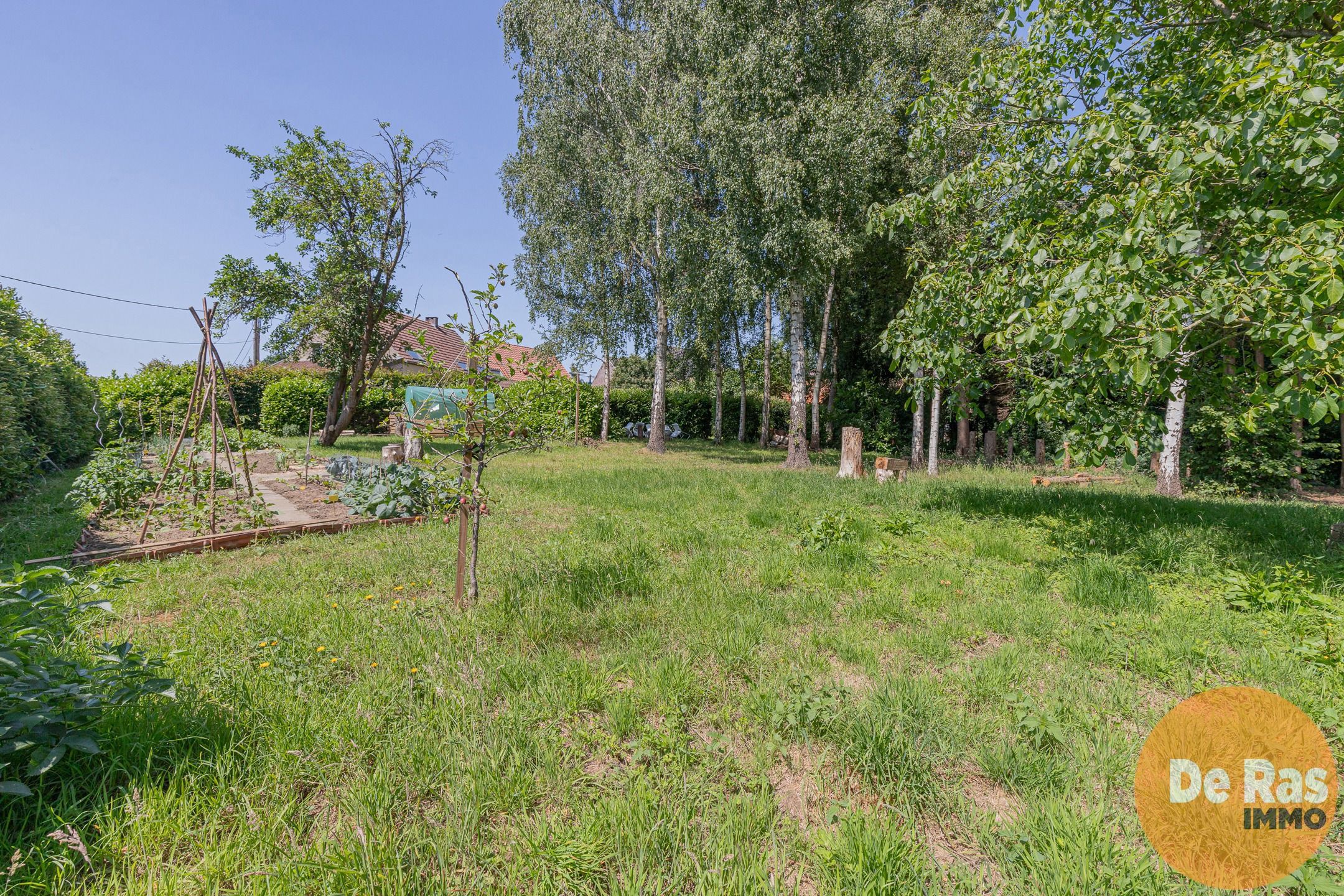 ST-L-ESSE - Ruime burgerwoning met achterliggende ateliers foto 26