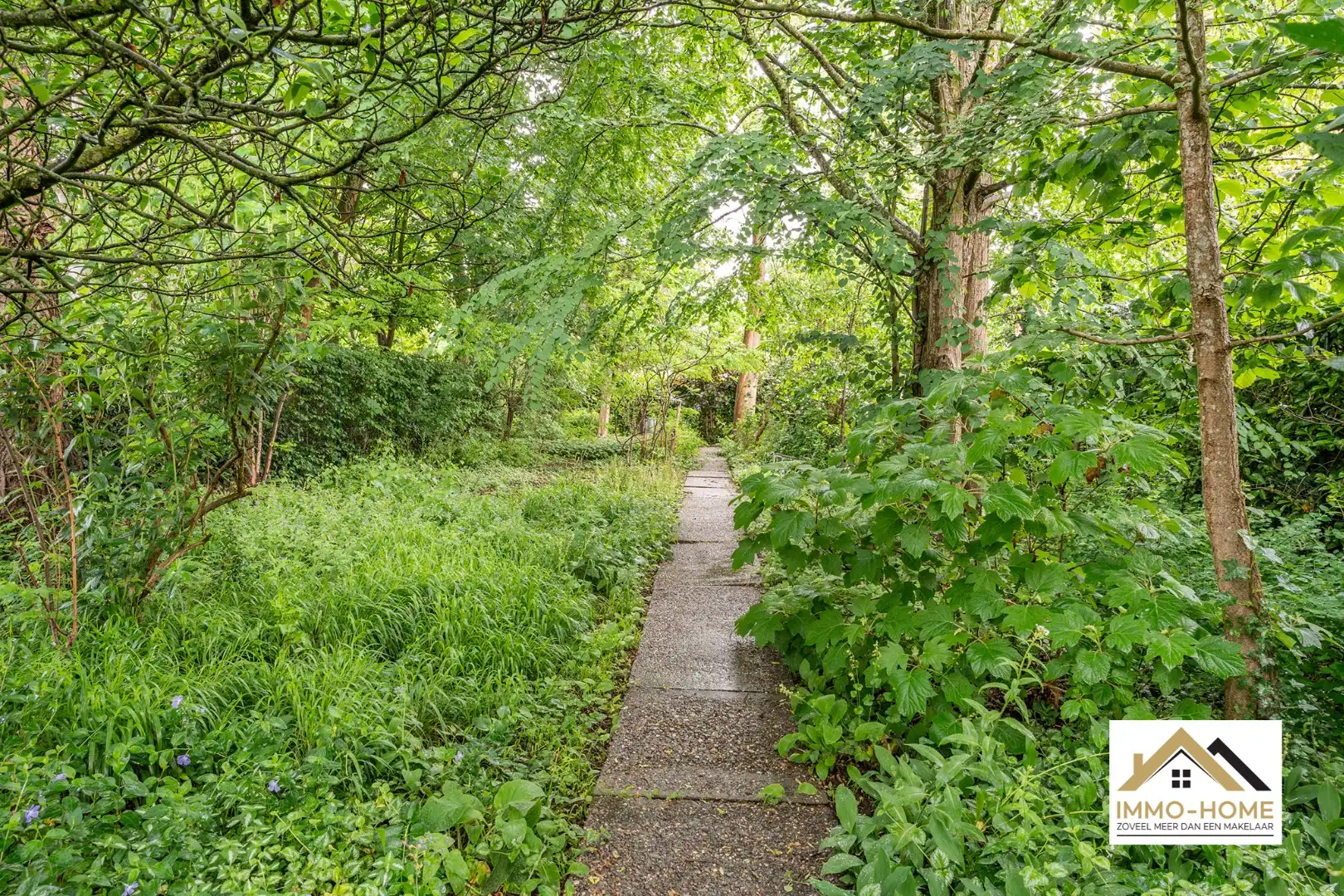 Instapklare woning met ruime tuin op topligging  foto 23