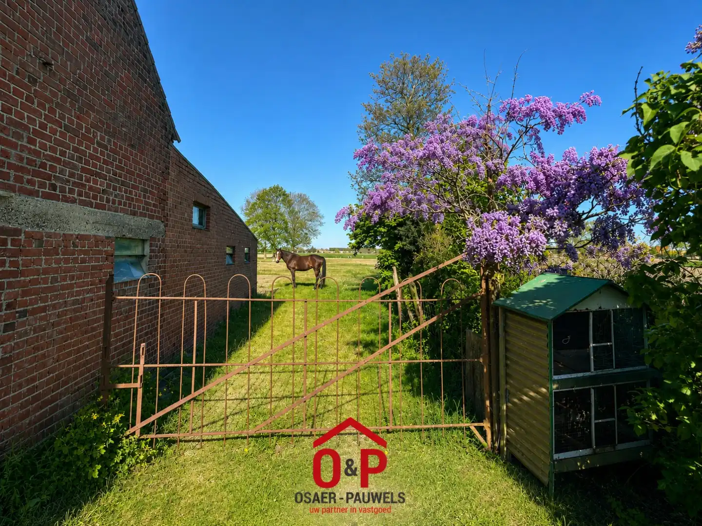 Landelijke hoeve-woning op ruim perceel, met weide en stallingen. foto 3