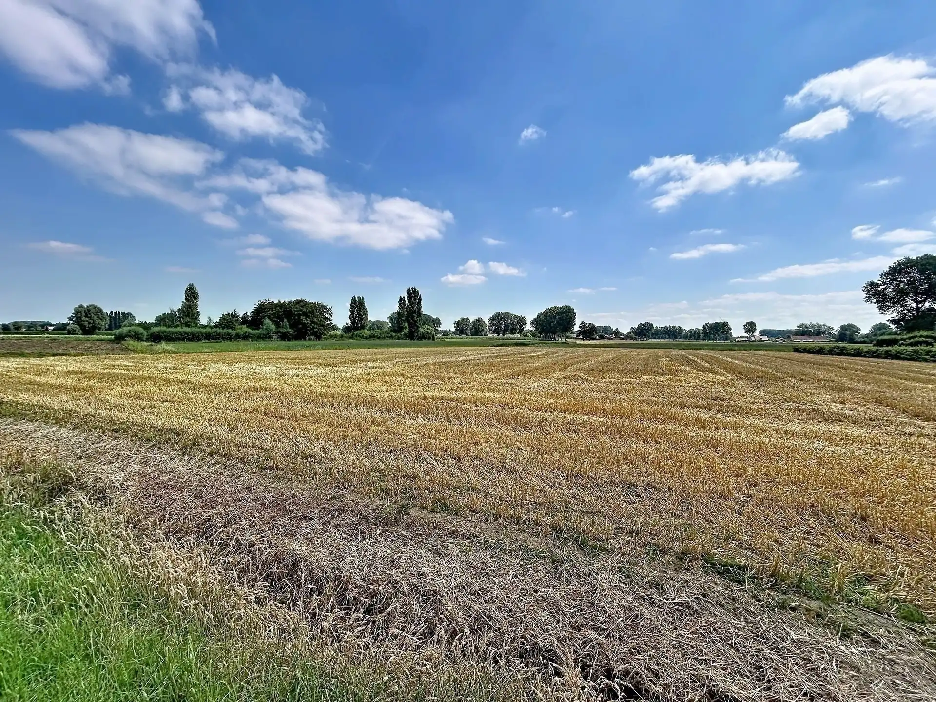 Ruime villa met dubbele garage met zicht op oneindig groen OP TOPLOCATIE IN SINT-NIKLAAS ! foto 19