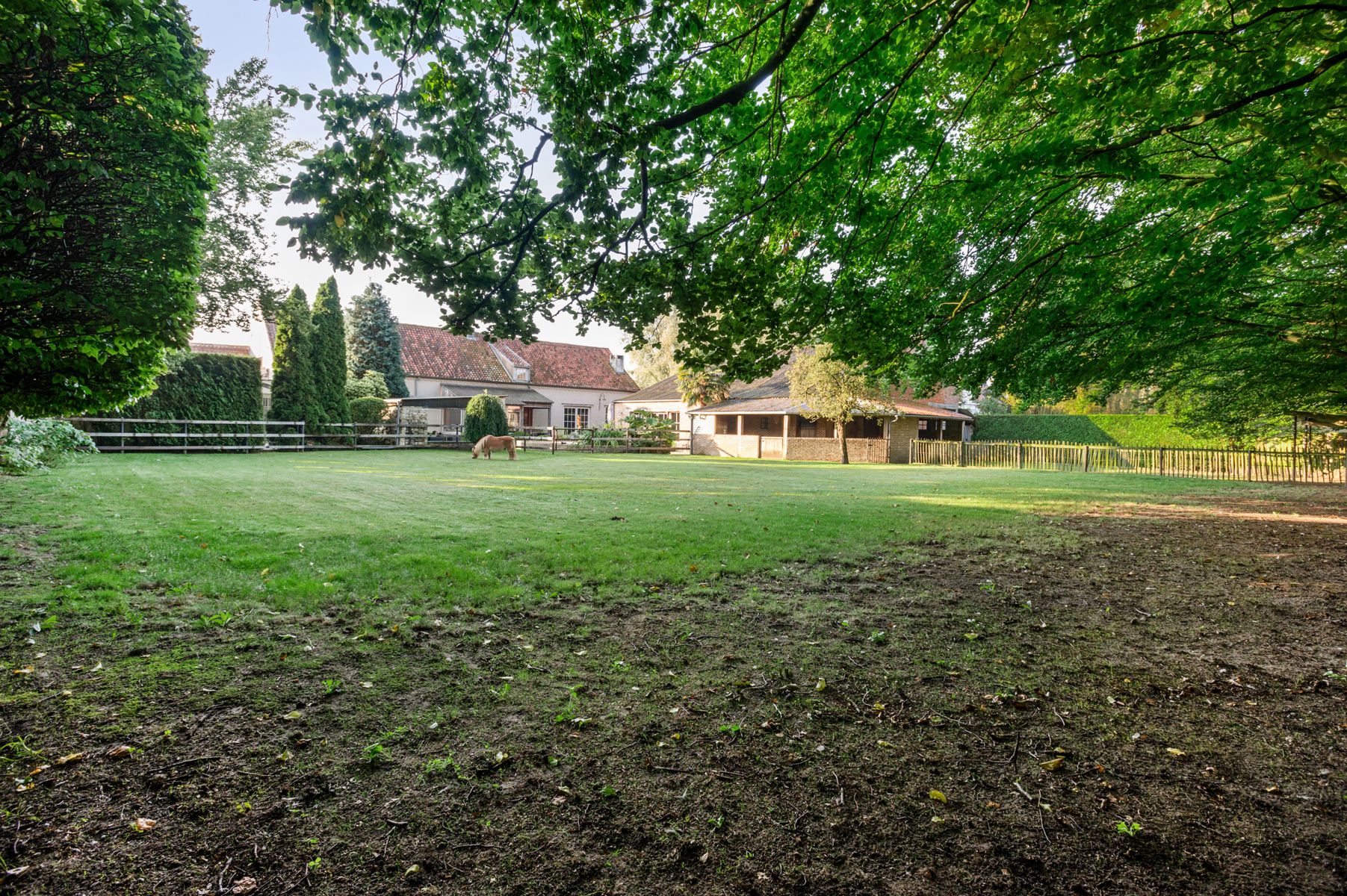 Gerenoveerde hoevewoning met praktijk en paardenstallen.  foto 47