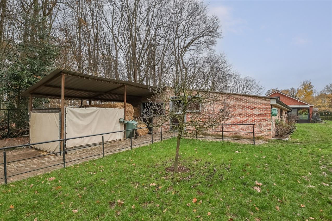 Rustig gelegen woning met weiland en stallen foto 40