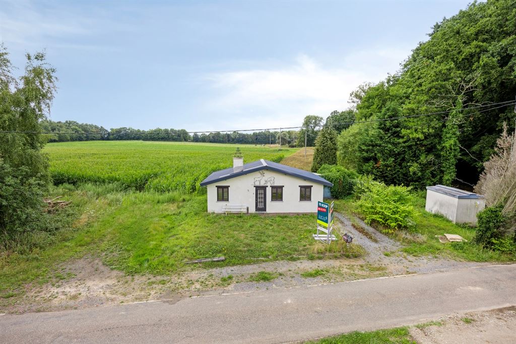 Op te frissen vakantiewoning te Bekkevoort!  foto 20