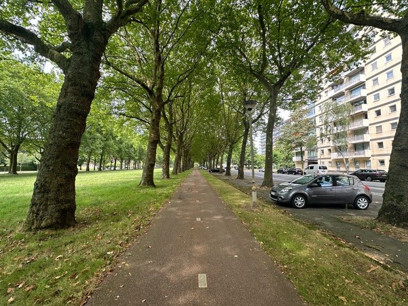 prachtig gelegen appartement met zicht over groen Linkeroever met parkeerplaats foto 2