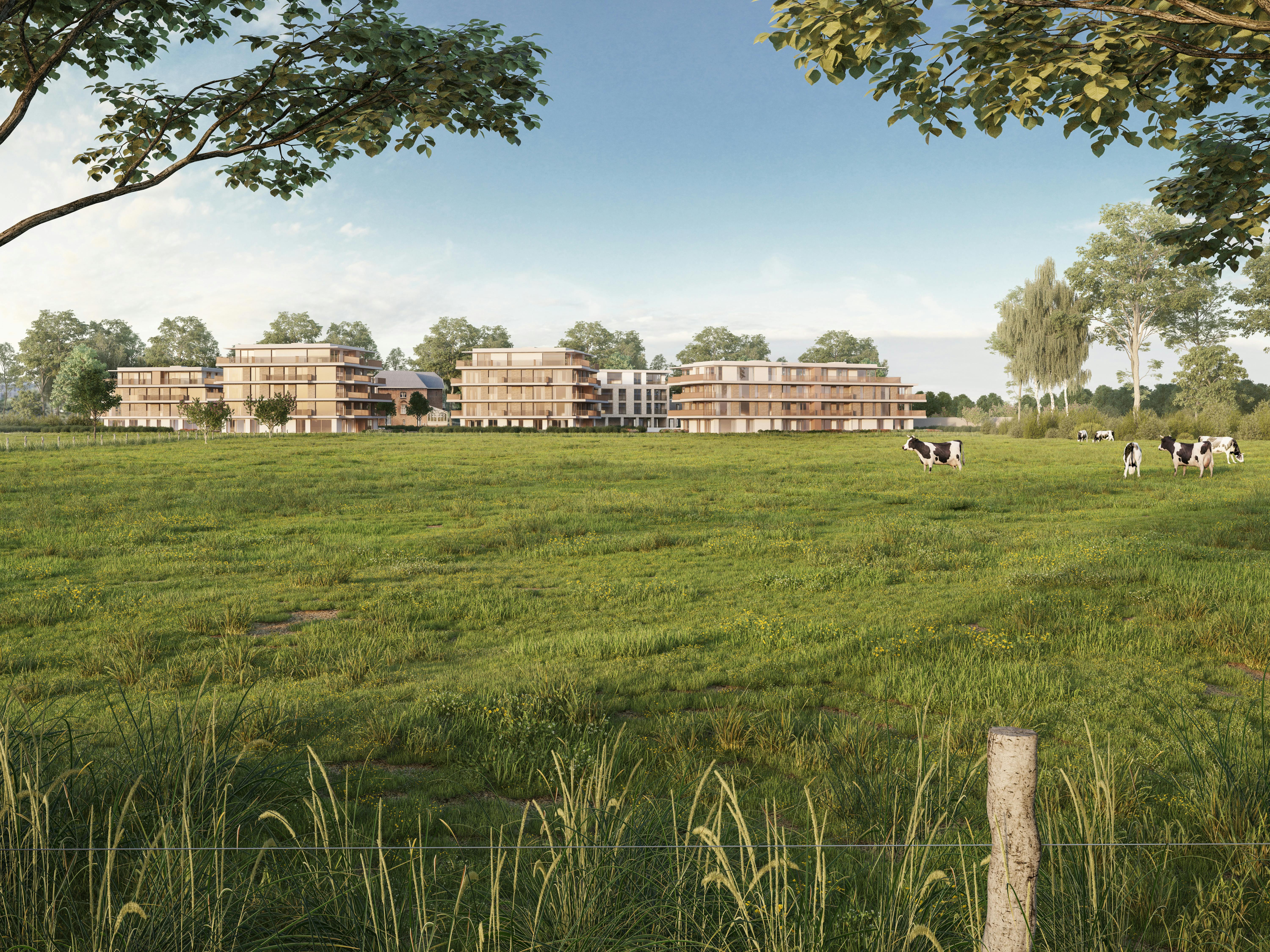 Penthouse met 2 slaapkamers en riant terras te Loppem foto 4