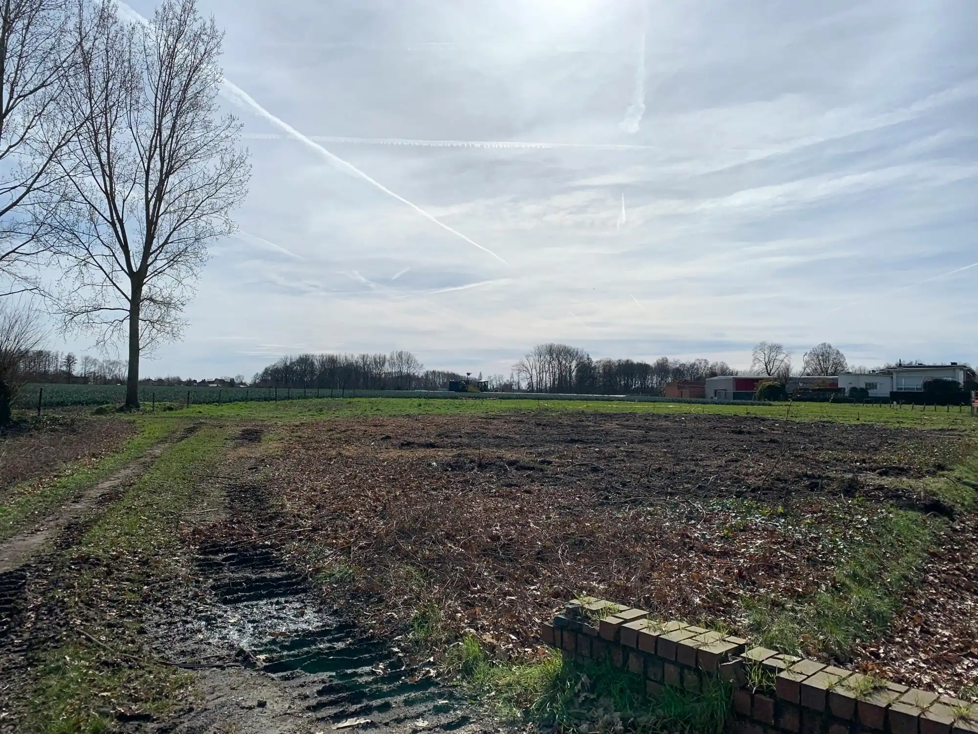 Bouwgrond (742m²) te koop in Liezele foto 9