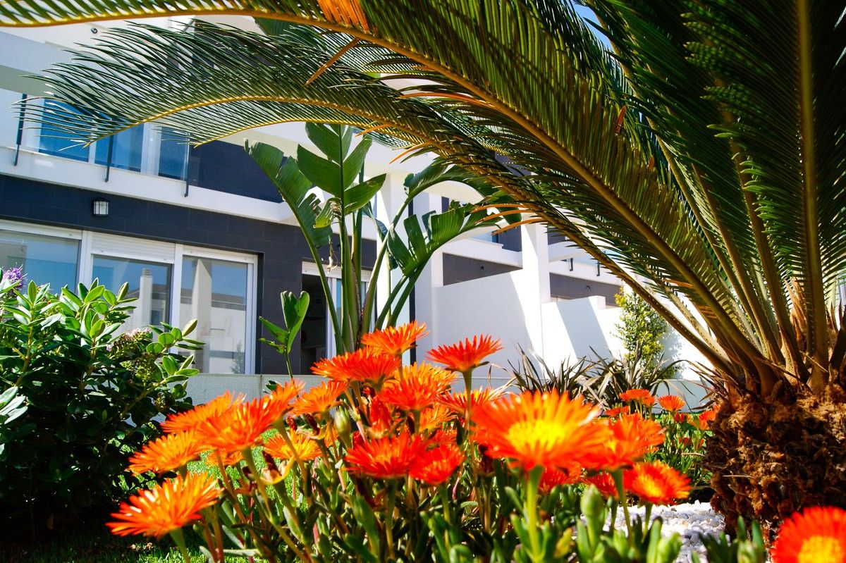 Villa Linda - Santa Pola foto 17