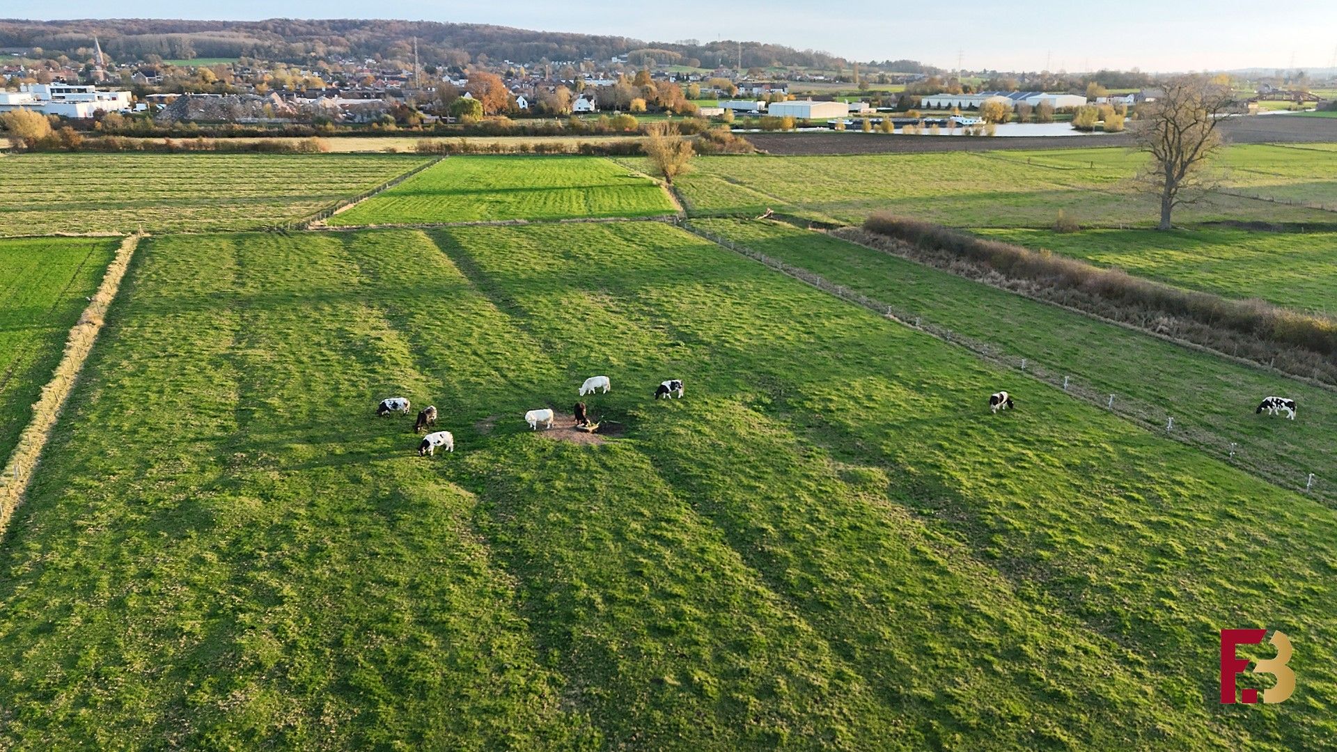 Ruim wonen met zicht op de natuur foto 26