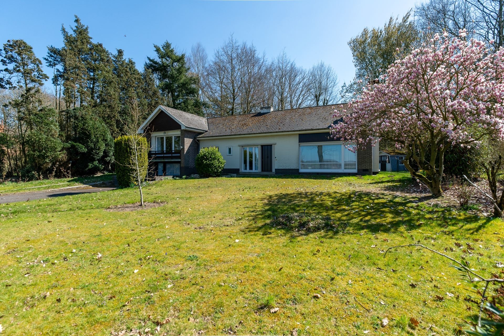 Karaktervolle villa op royaal perceel te Wortegem-Petegem foto 4