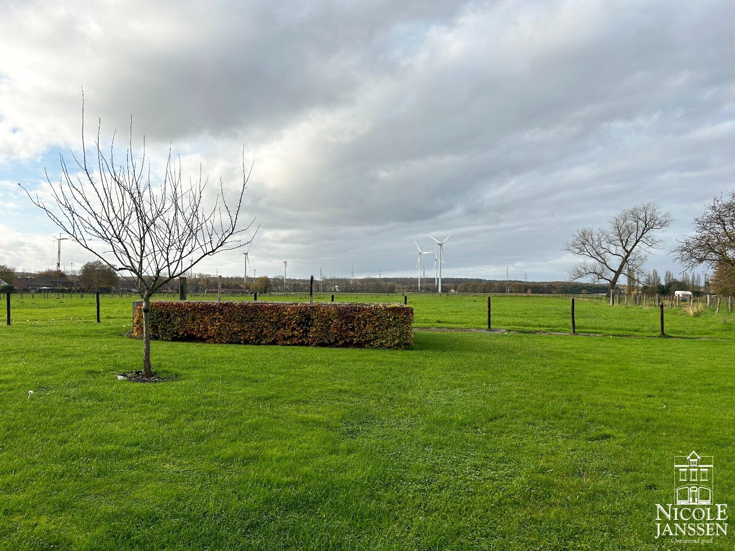 Te renoveren ruime hoevewoning met stallingen en grond foto 4