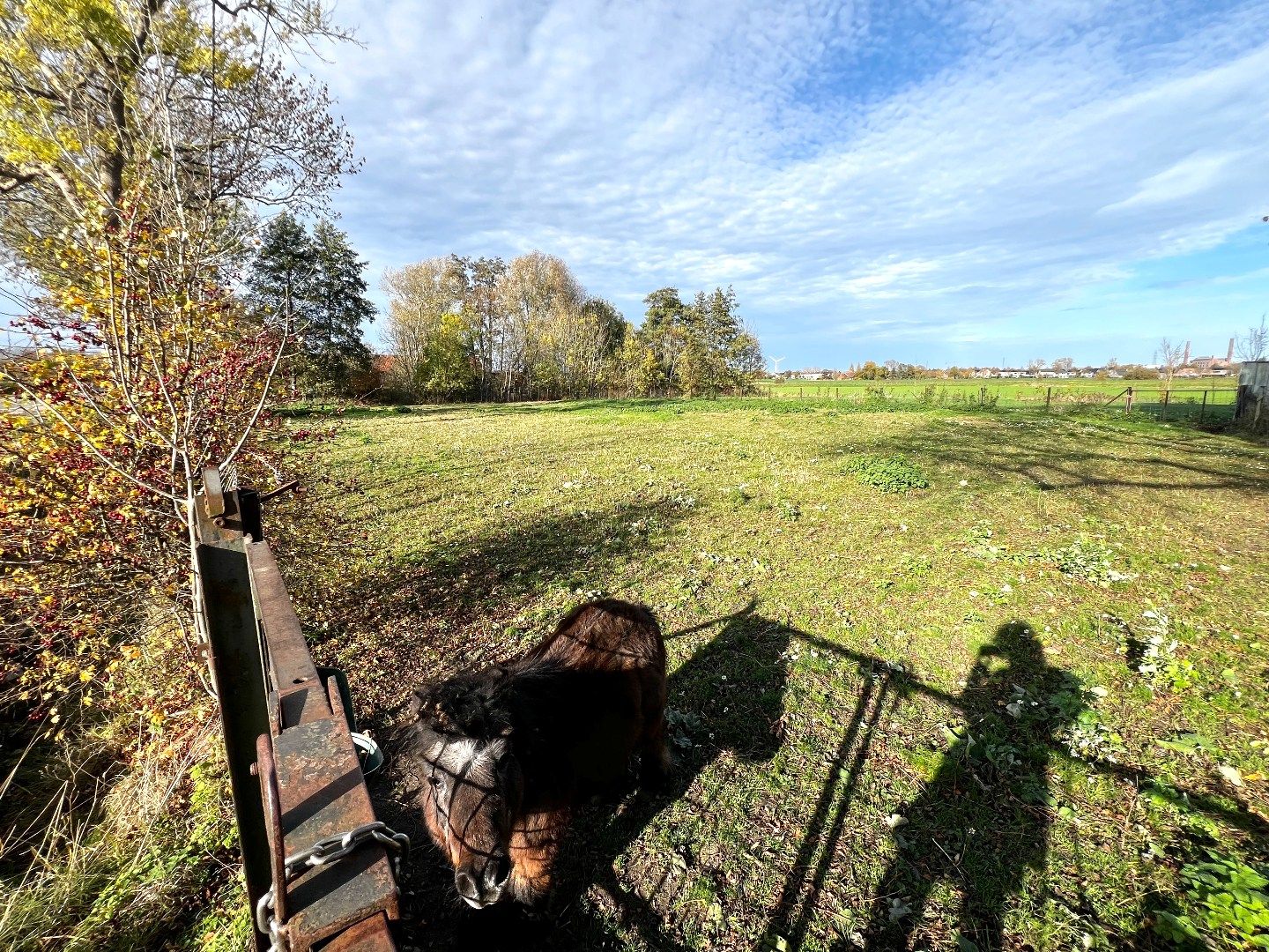 Weiland te koop – 3.160 m² – Zwevegem 🌿🐴 foto 5