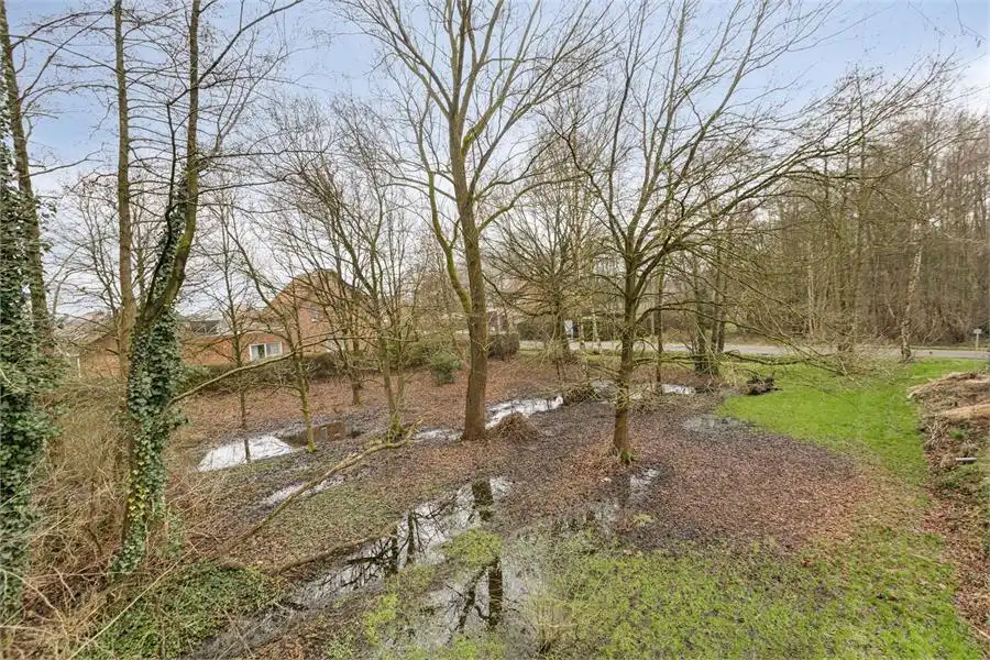 Bouwgrond te koop in Tessenderlo-Ham op perceel van 16a 76ca foto 7