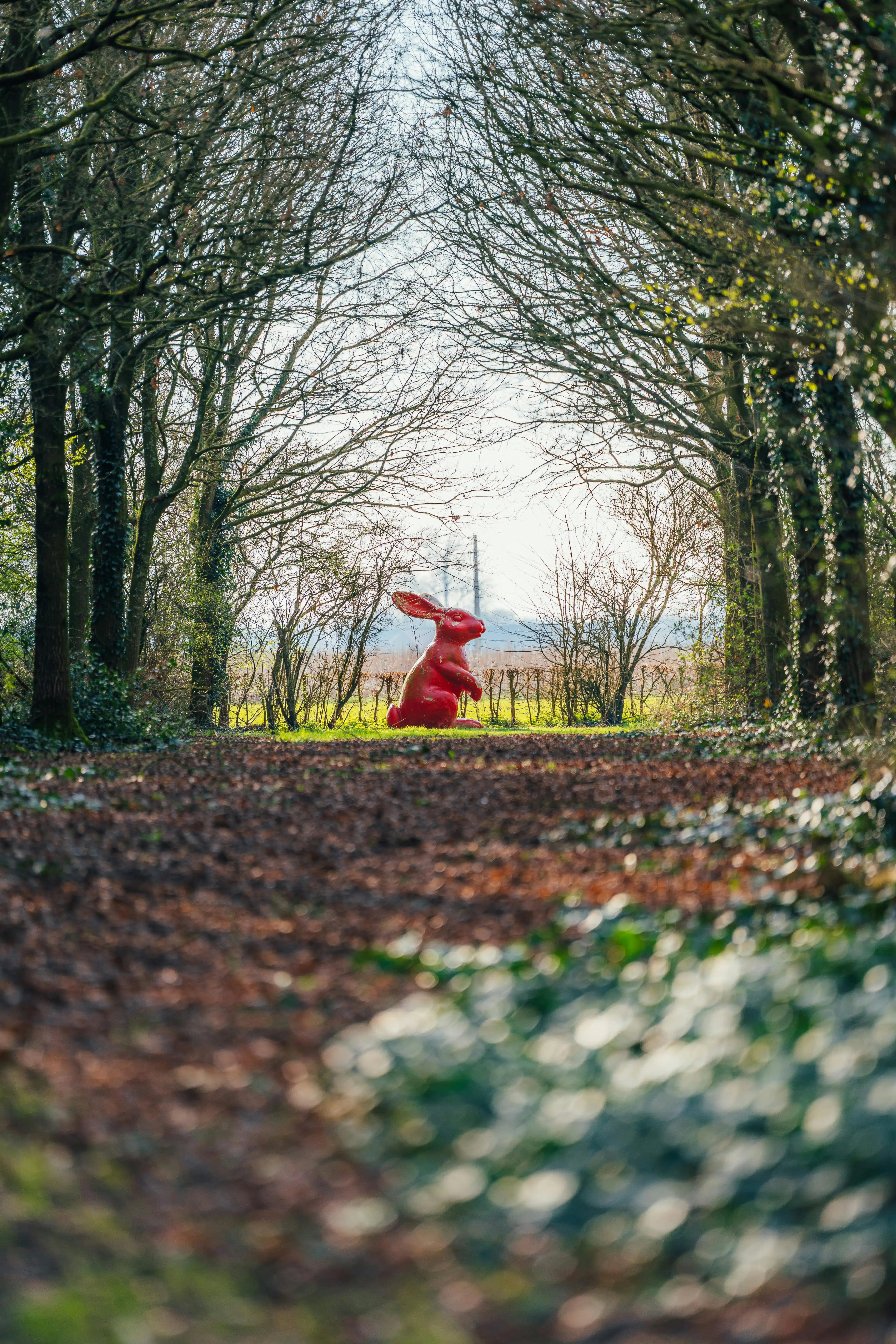 Exclusieve villa met tuin en zwembad op 1,6 ha in Krombeke foto 27