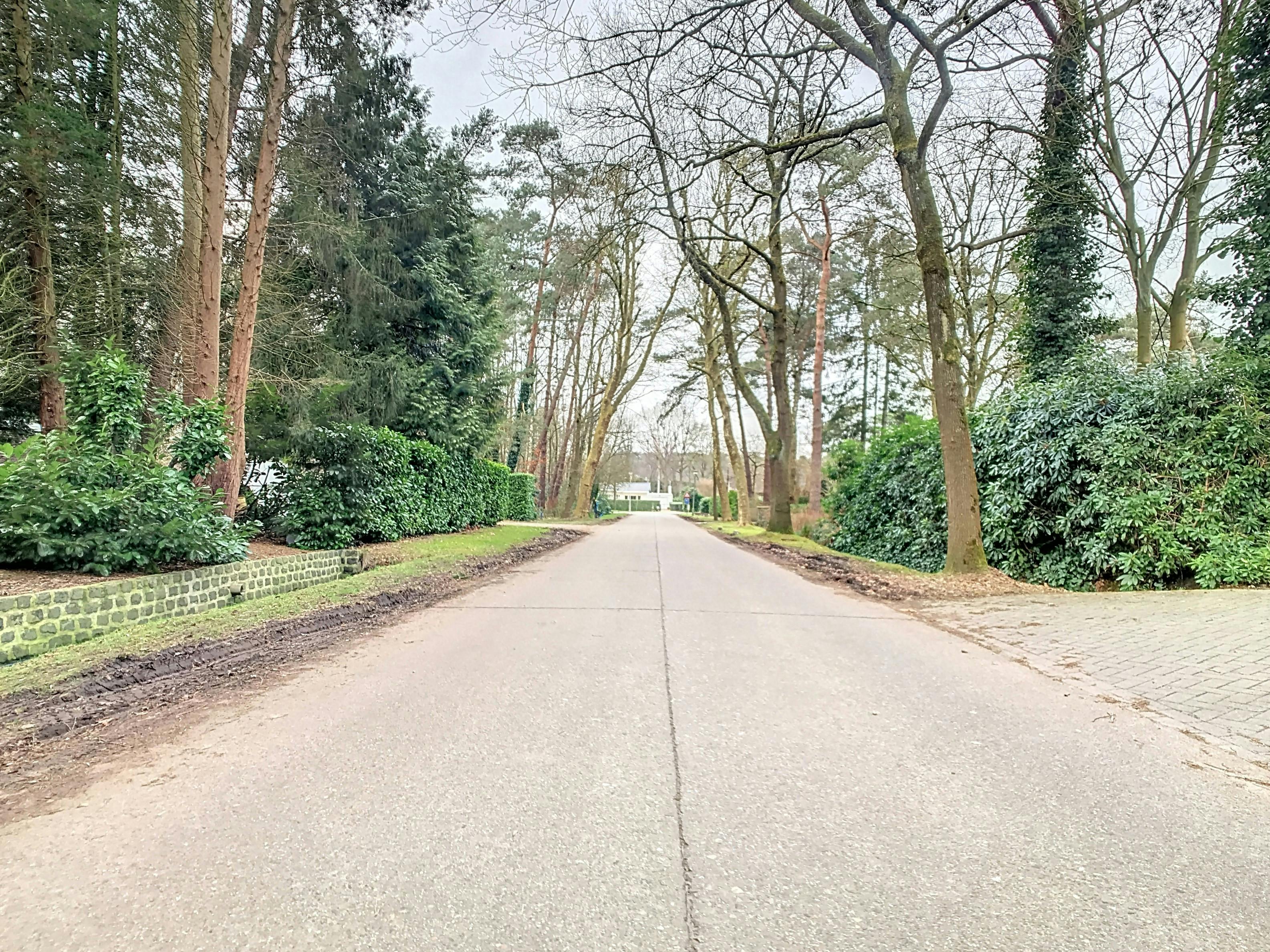 Zeer mooi gelegen bouwperceel van  ca.1750m² te Sint-Job-in't-Goor! foto 11