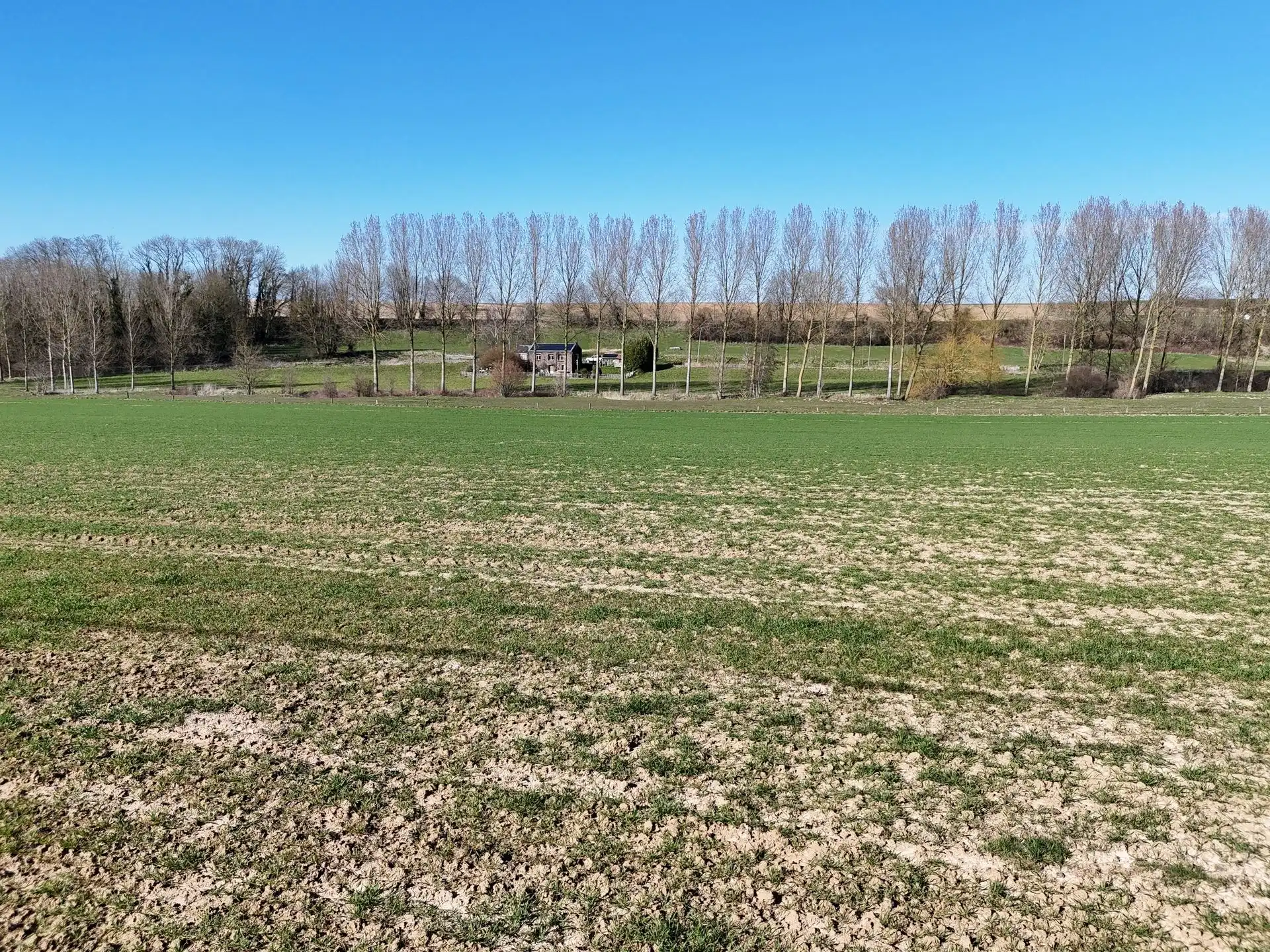 Groot perceel landbouwgrond - BLOK A foto 16