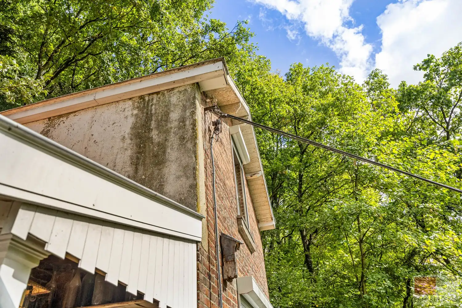 Uitzonderlijke boswoning foto 19