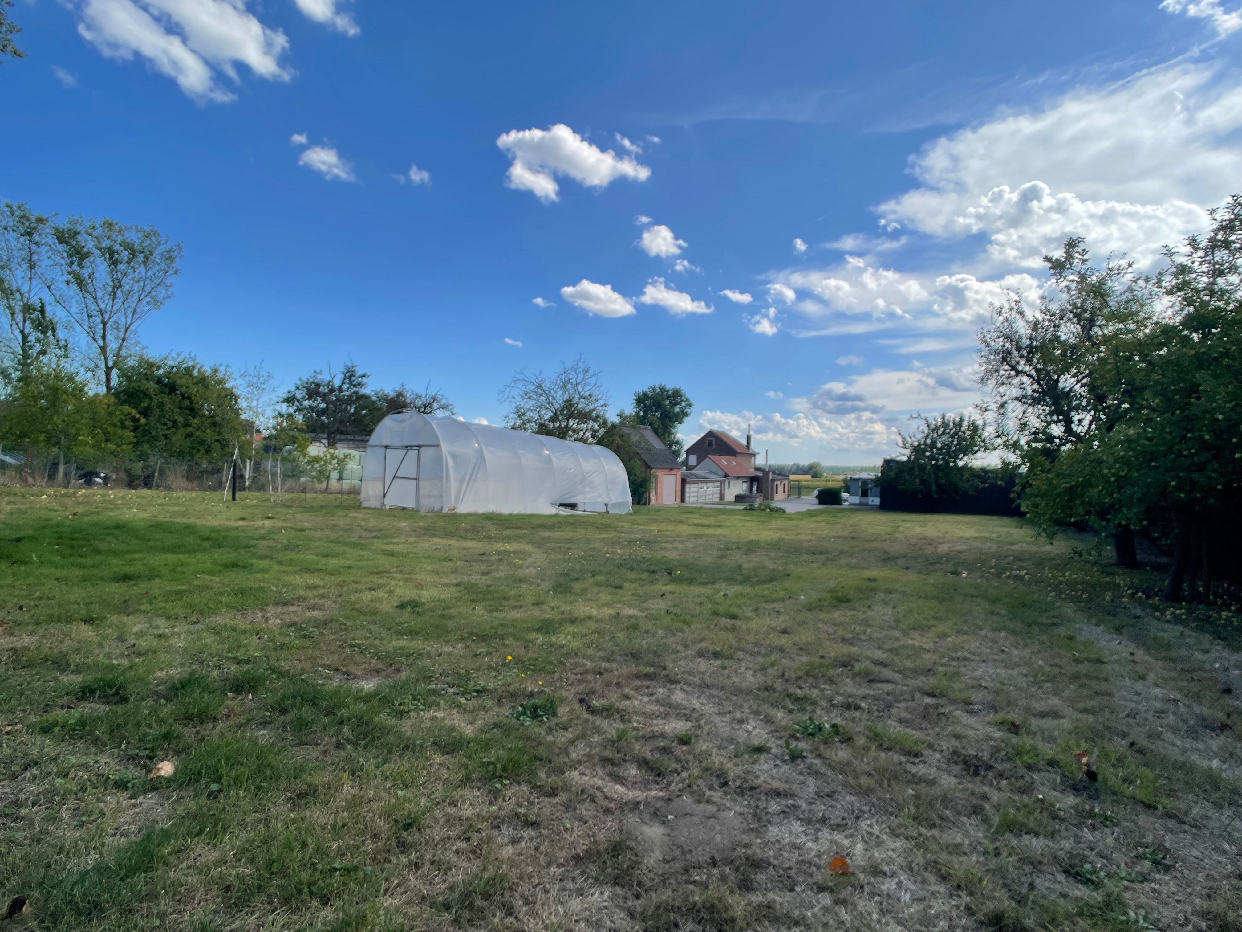 Op te frissen woning op ruim perceel midden in de natuur foto 28
