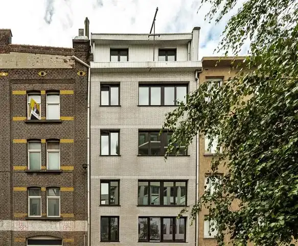 Leuke studio op het eilandje foto {{pictureIndex}}