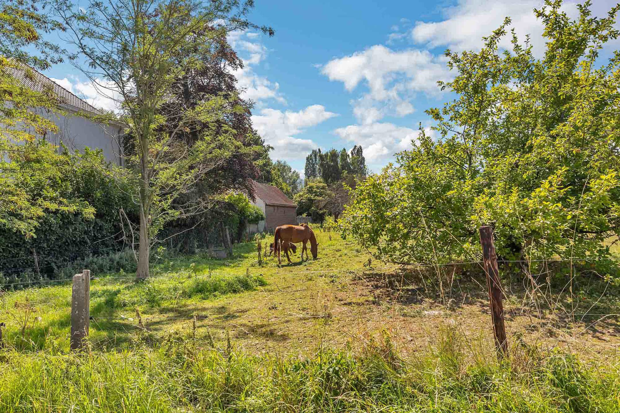 Bouwgrond voor HOB op een rustige en landelijke locatie foto 11