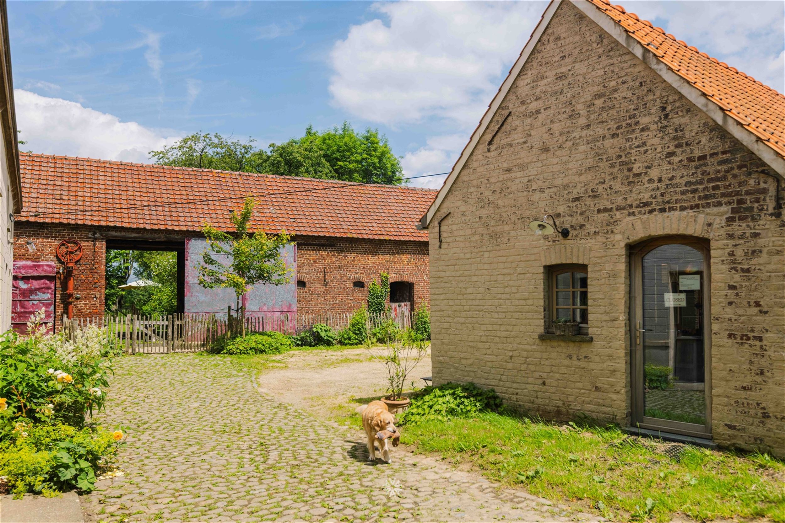 uniek gelegen vierkantshoeve in Schorisse foto 8