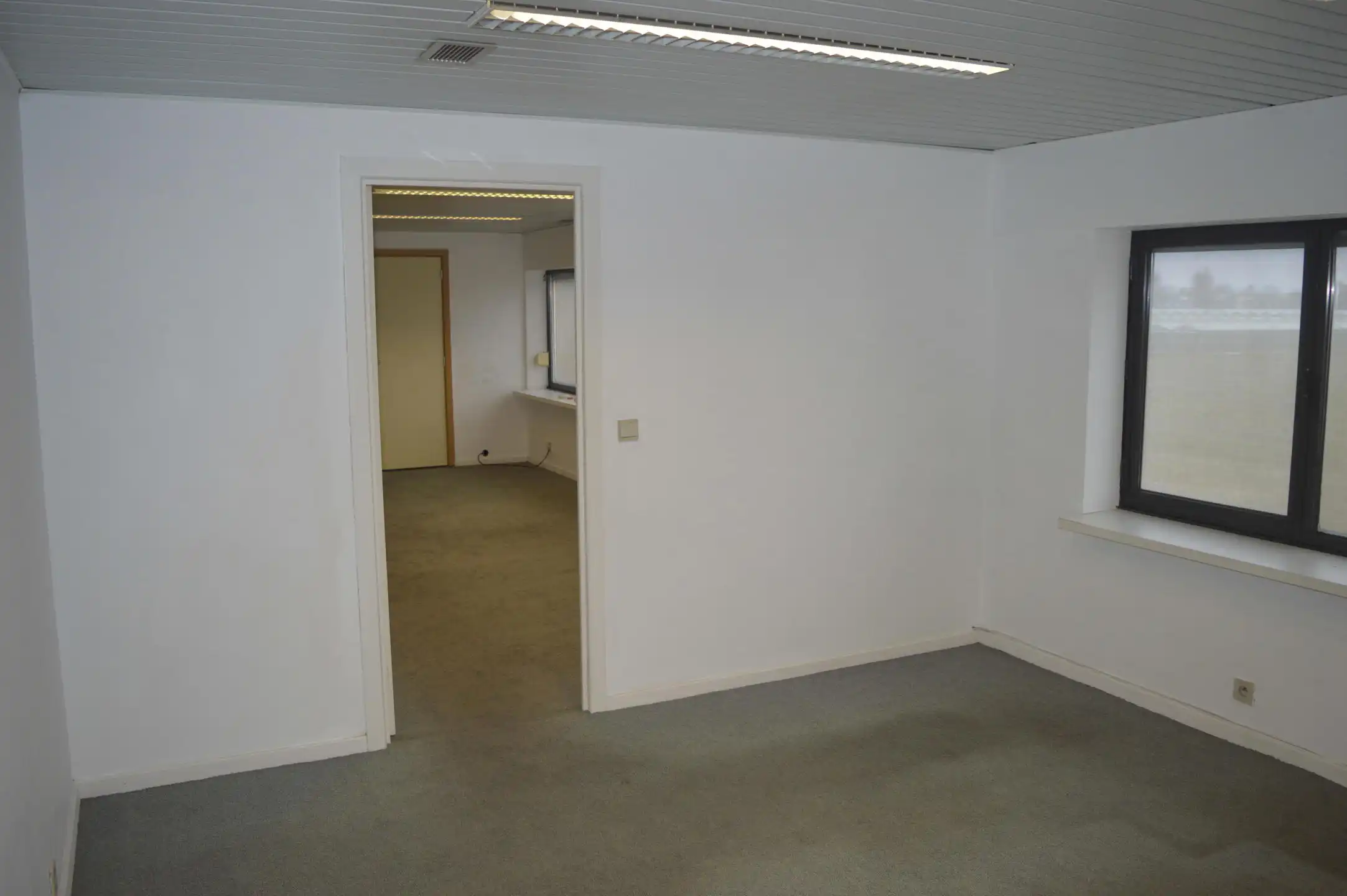 Aartselaar: Magazijn met kantoor te huur foto 9