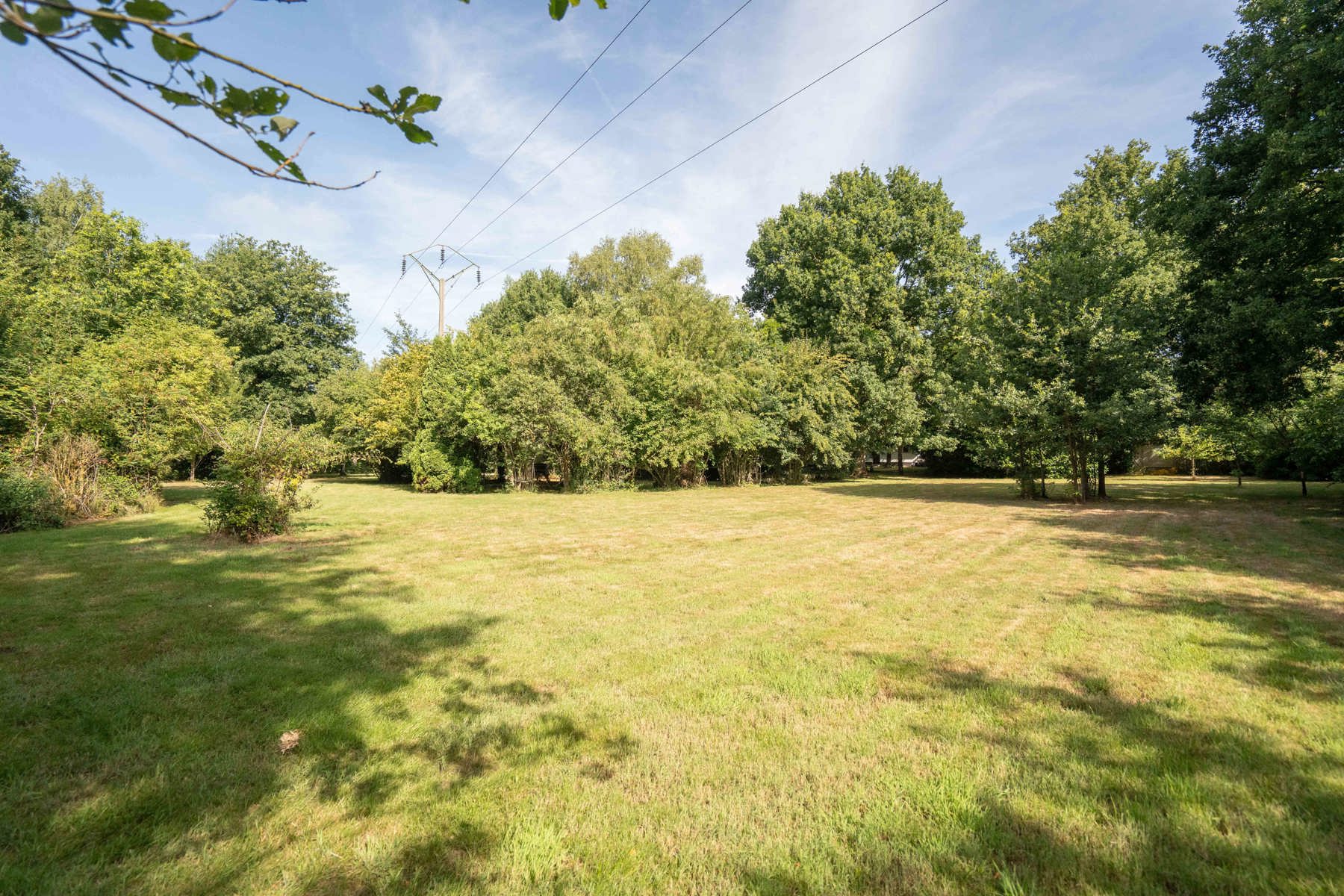 Unieke hoeve op domein van 1,5 ha – pure rust en natuurbeleving in het groen foto 18