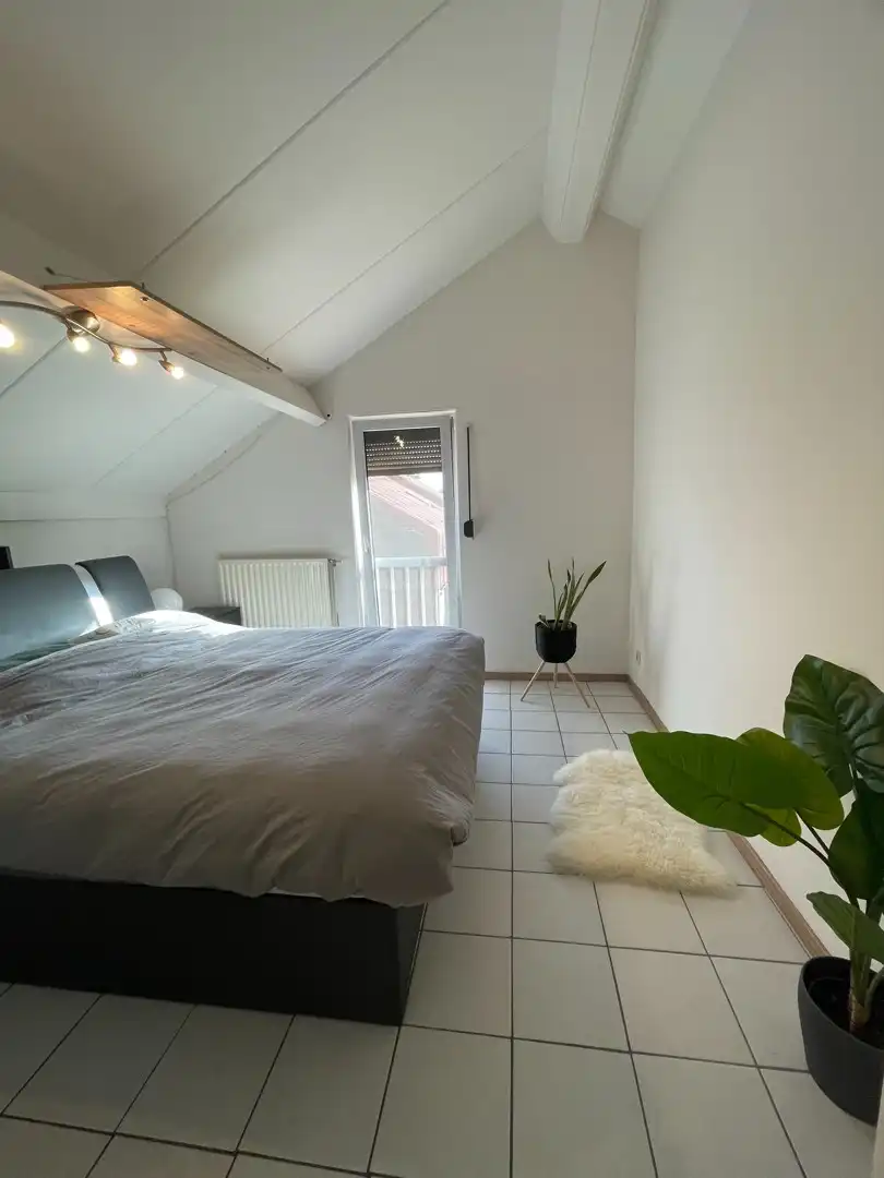 Rustig gelegen woning met 2 slaapkamers en tuin te Lommel. foto 18