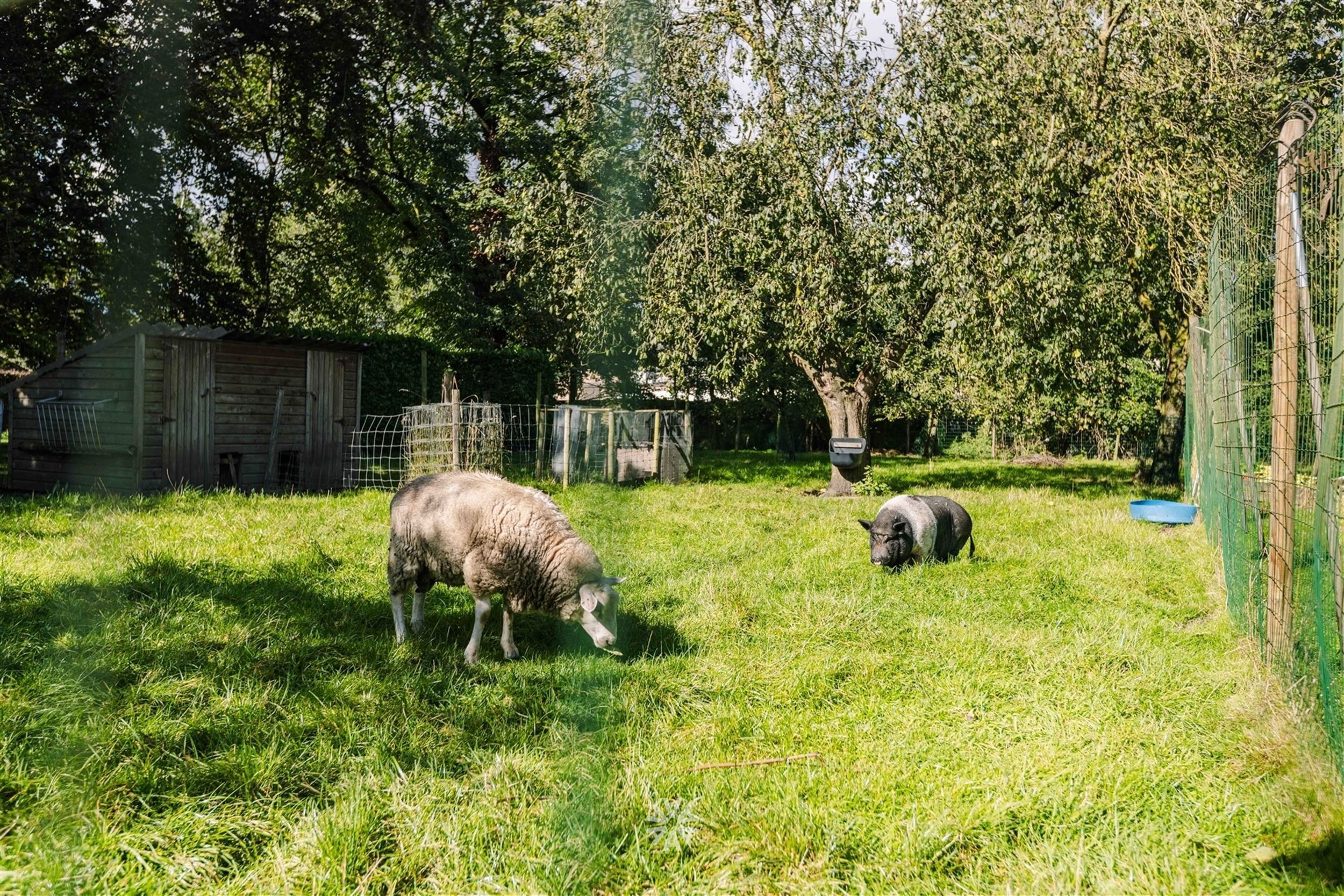 Ruime villa met tal van mogelijkheden op een rustige ligging in Lovendegem foto 16