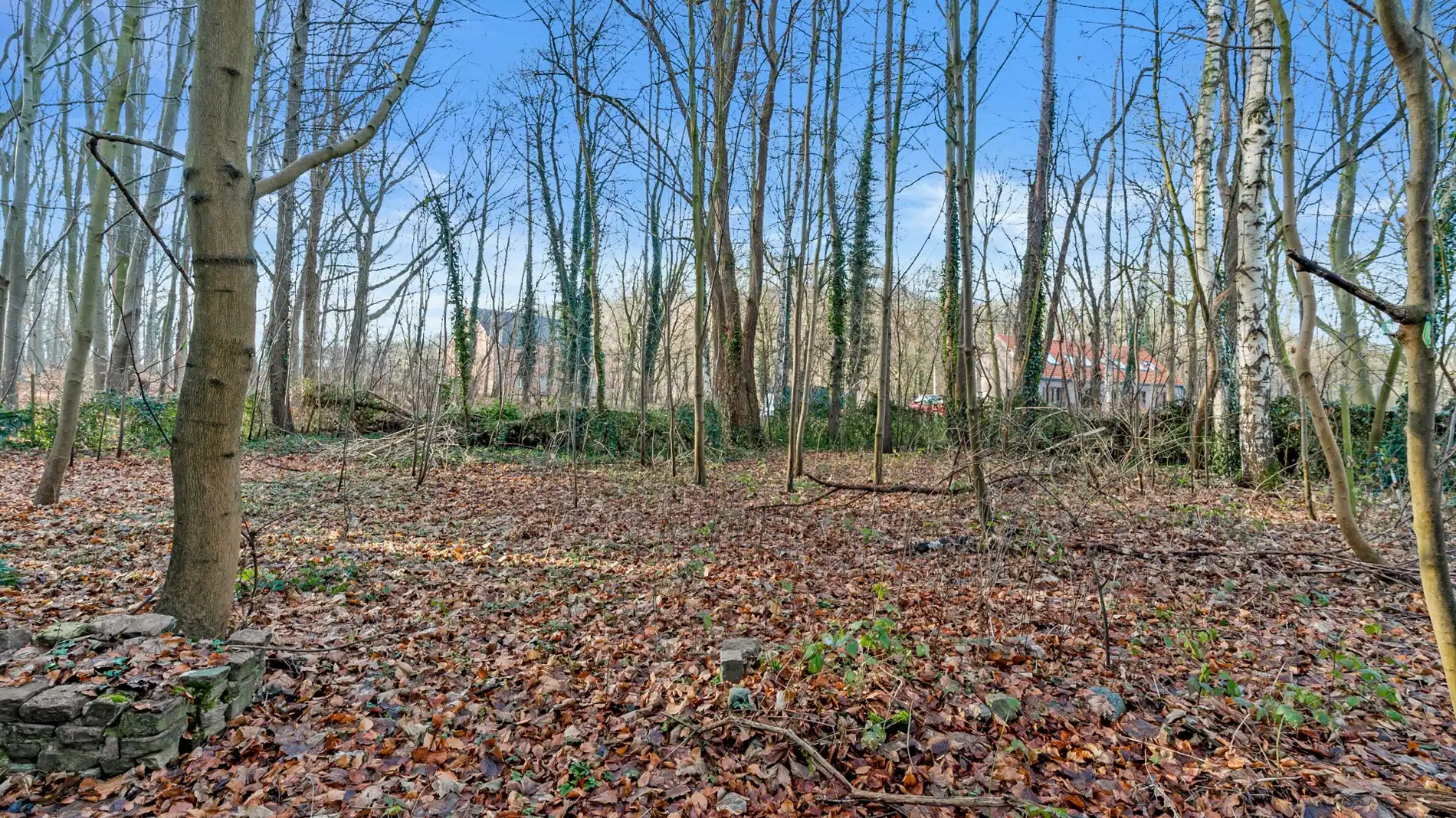 PELLENBERG - Exculsief bouwperceel op 25a68ca - OB foto 6