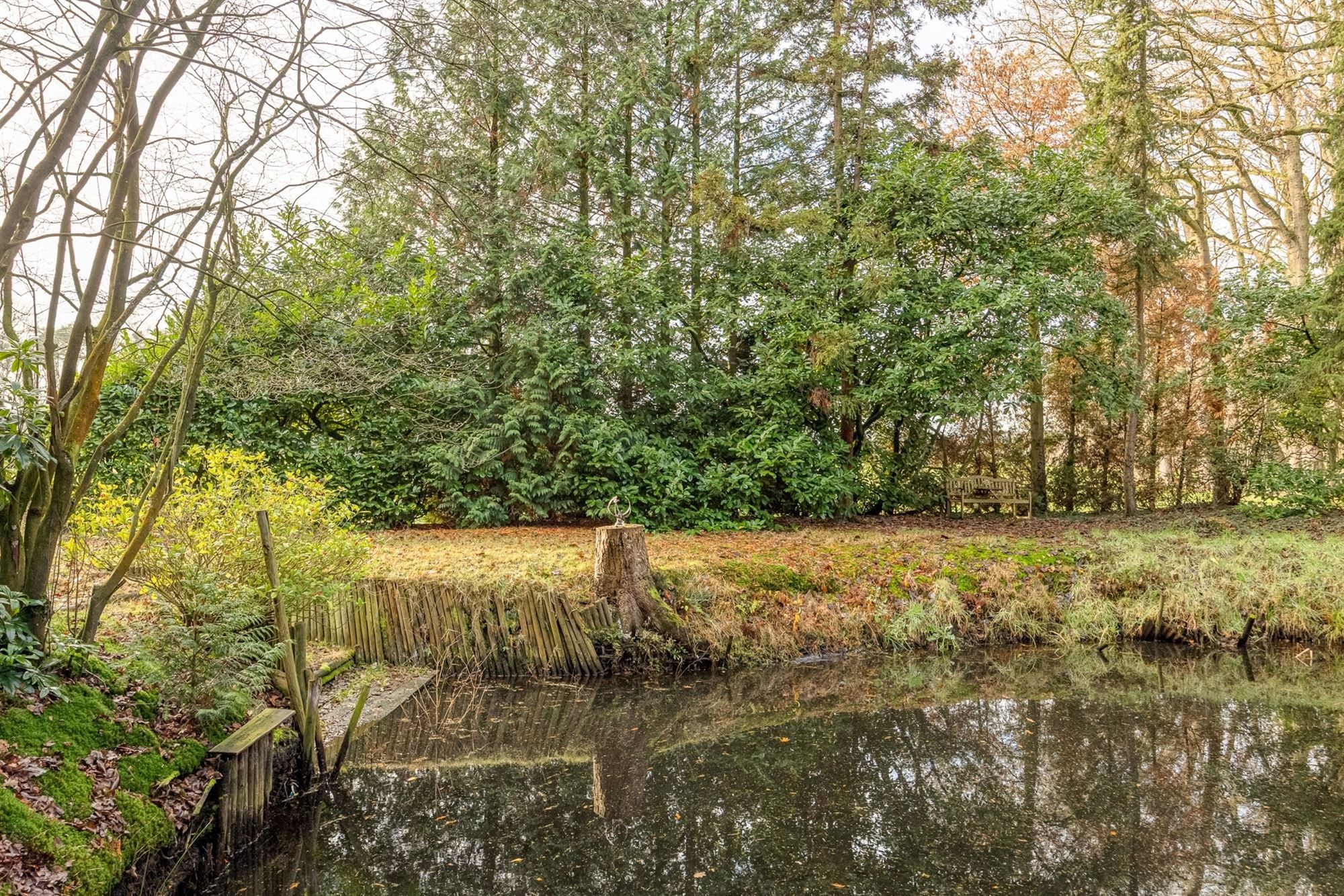 Charmante chalet met privatieve vijver op idyllisch perceel foto 23