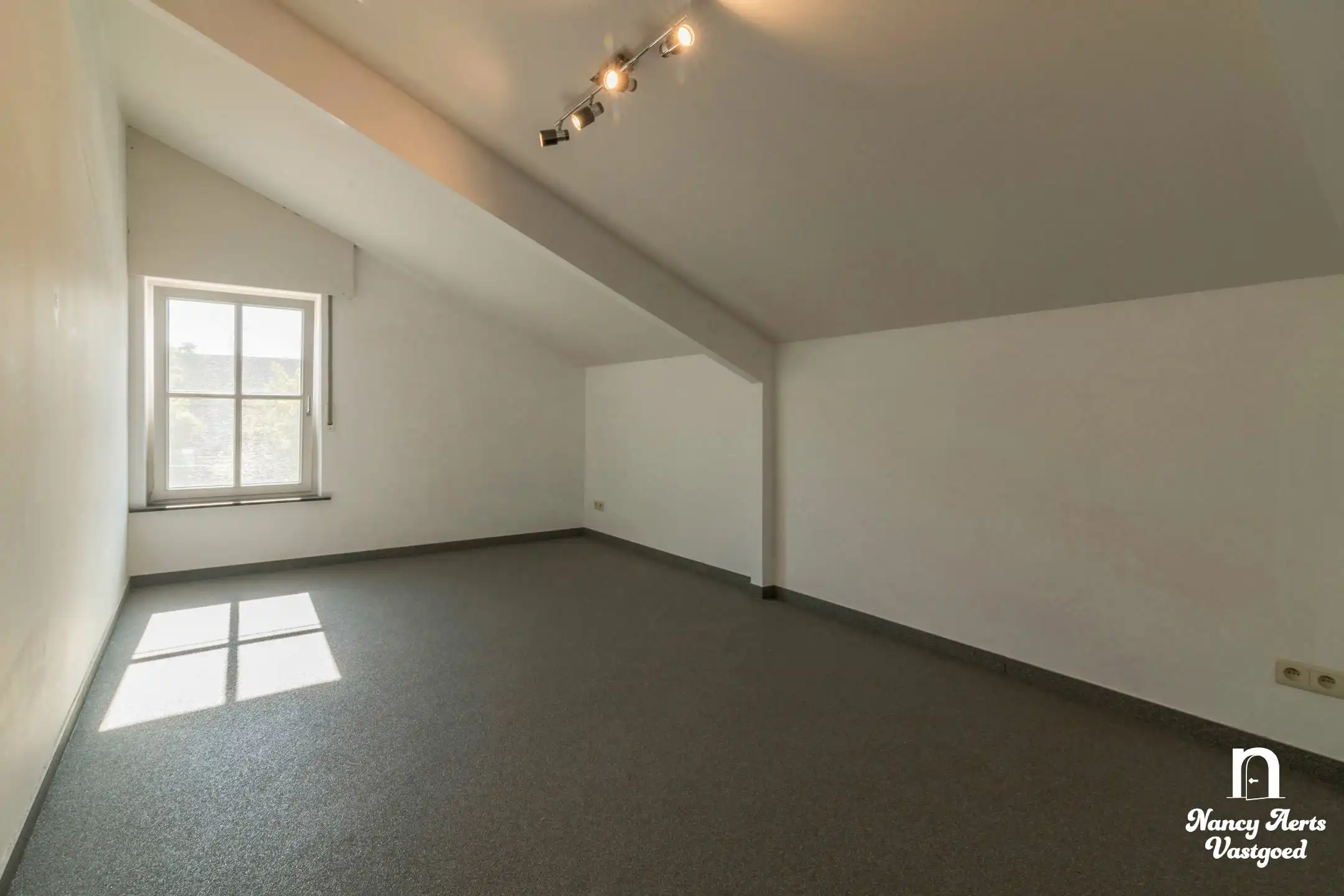 Loods van 550 m² met kantoor en woning met 4 slaapkamers foto 50