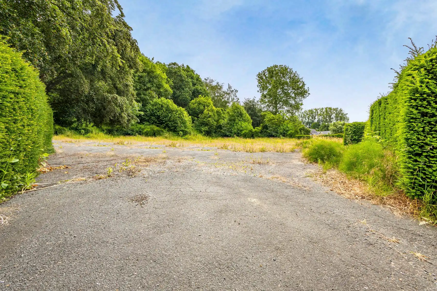 Prachtig gelegen eigendom met grond en bos foto 21