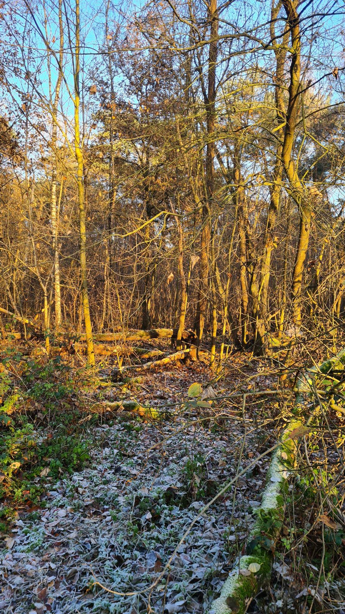 ()=>{if(producerUpdateValueVersion(node),producerAccessed(node),node.value===ERRORED)throw node.error;return node.value} Kampheidelaan 1 - 2300 Turnhout