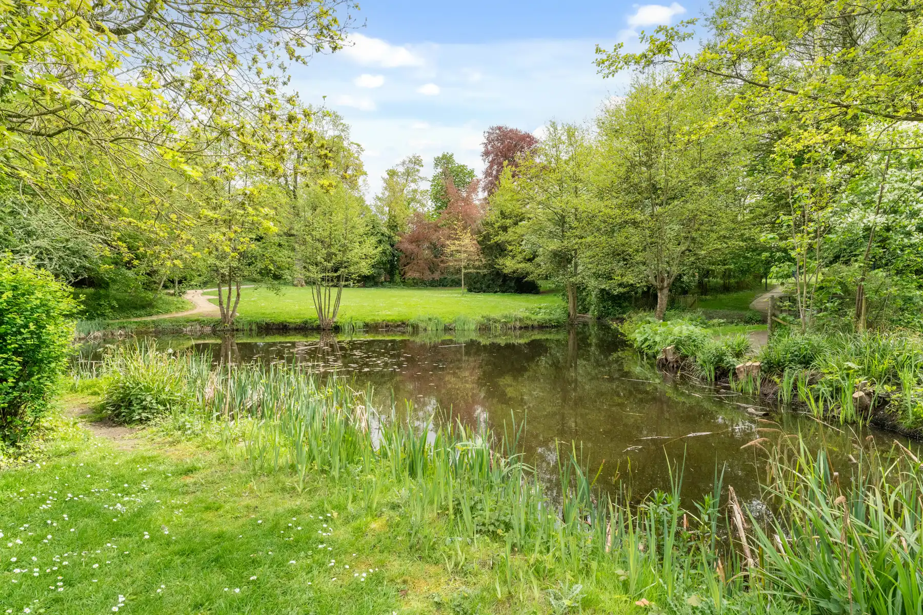 Appartement met zicht op het stadspark foto 7