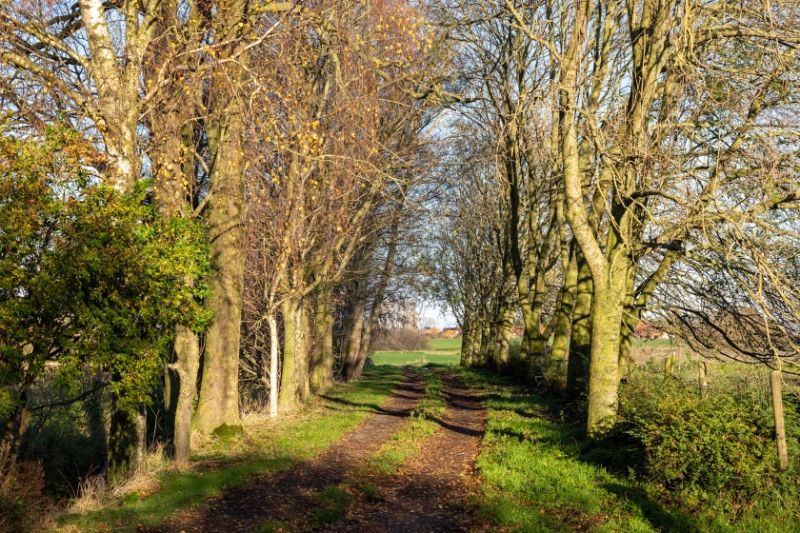 Kortemark: Een exclusief gelegen landgoed te midden van uitgestrekte landerijen op 4 hectare, met bijgebouwen en weideland. Een potentieel paradijs voor paardenliefhebbers of een toeristische onderneming. Een unieke kans! foto 6