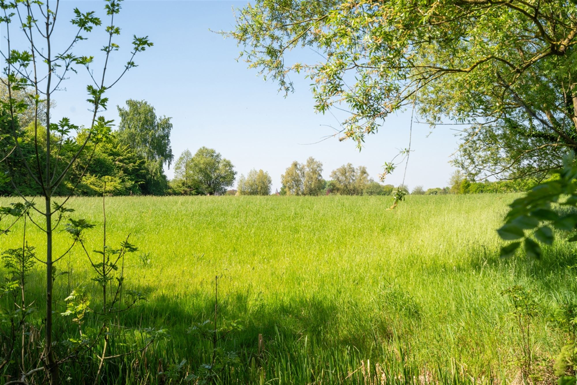 Charmante instapklare VILLA op een perceel van 2.700m² foto 6