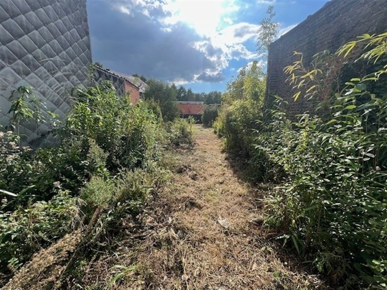 Bouwgrond centrum Oudenaarde met omgevingsvergunning foto 2