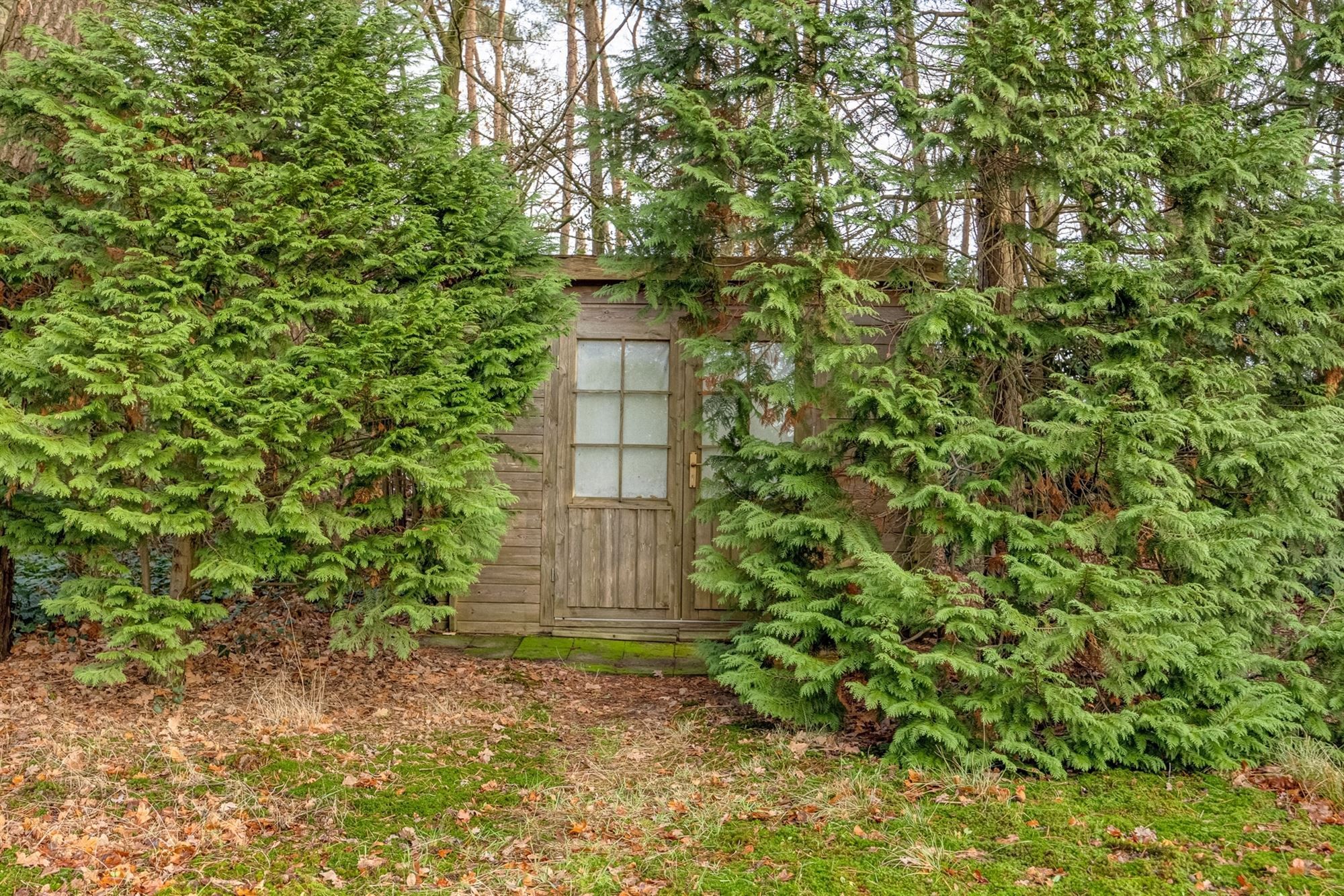 Charmante chalet met privatieve vijver op idyllisch perceel foto 22