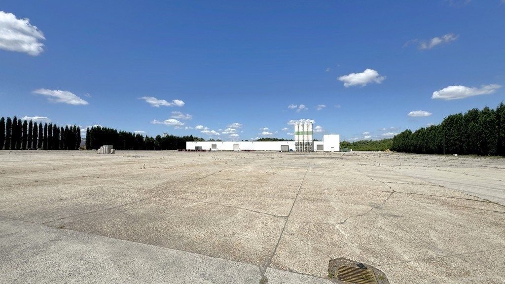 Loods met 1 hectare buitenopslag te huur in Rumst foto 12