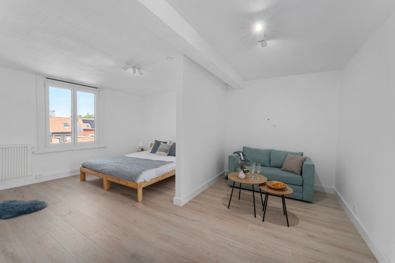 Volledig gerenoveerd appartement met 1 slaapkamer op centrale ligging foto 6