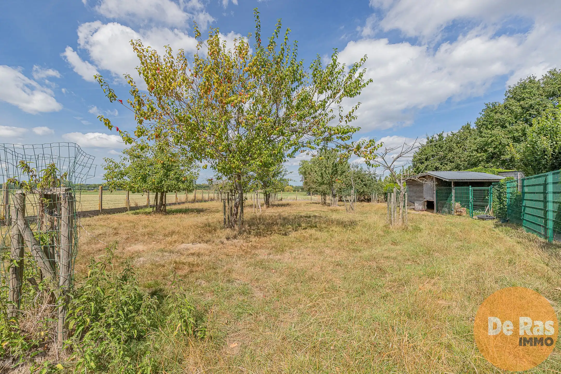 WETTEREN - Riante multi-functionele villa op top ligging foto 34