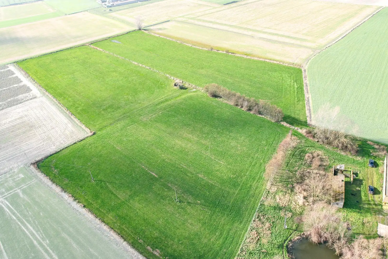 KIJKDAG ZATERDAG 21/03 VAN 10U TOT 12U! foto 24