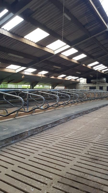 Hoeve met gronden te koop te Kinrooi foto 14