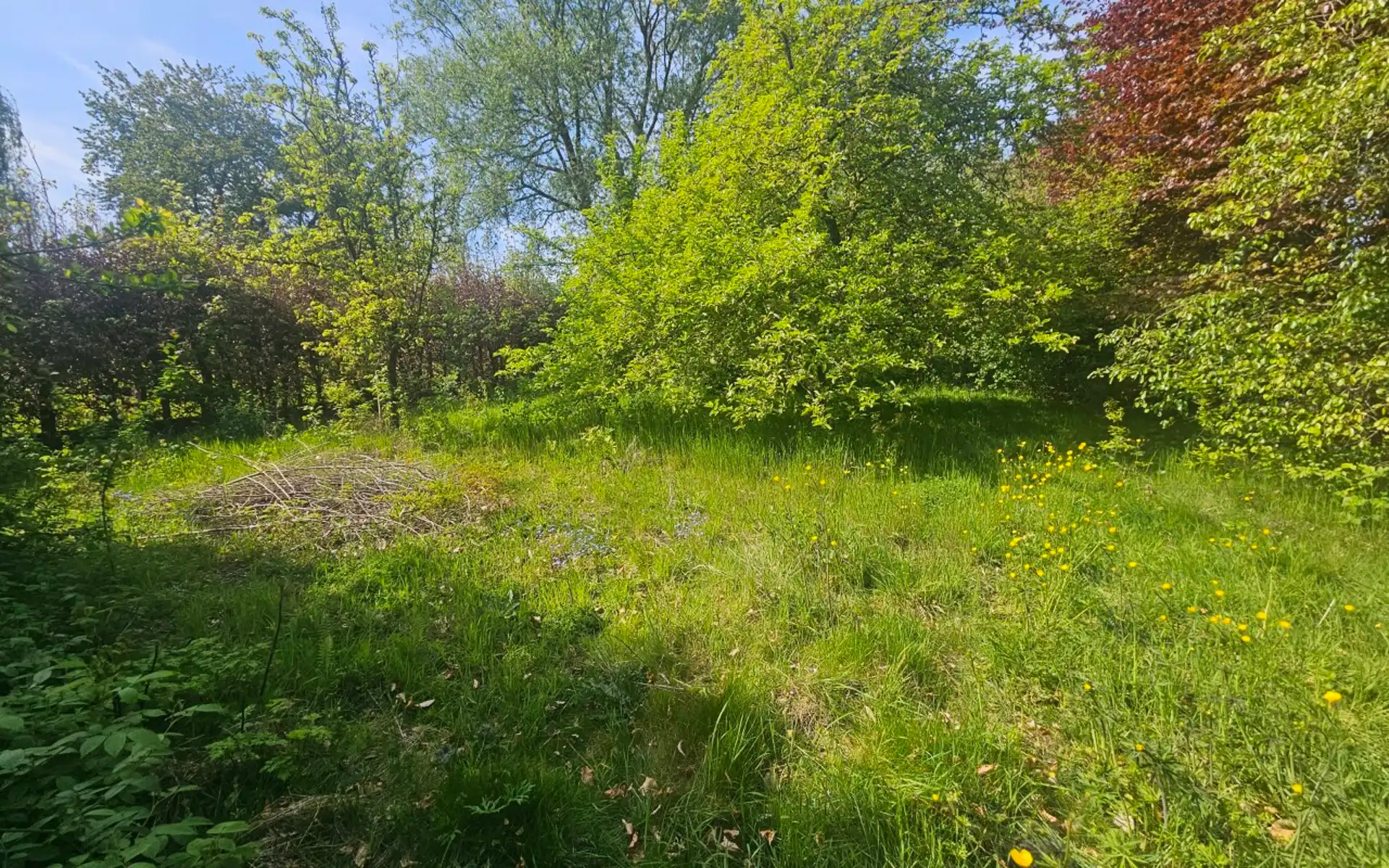 Volledig te renoveren woning  foto 4