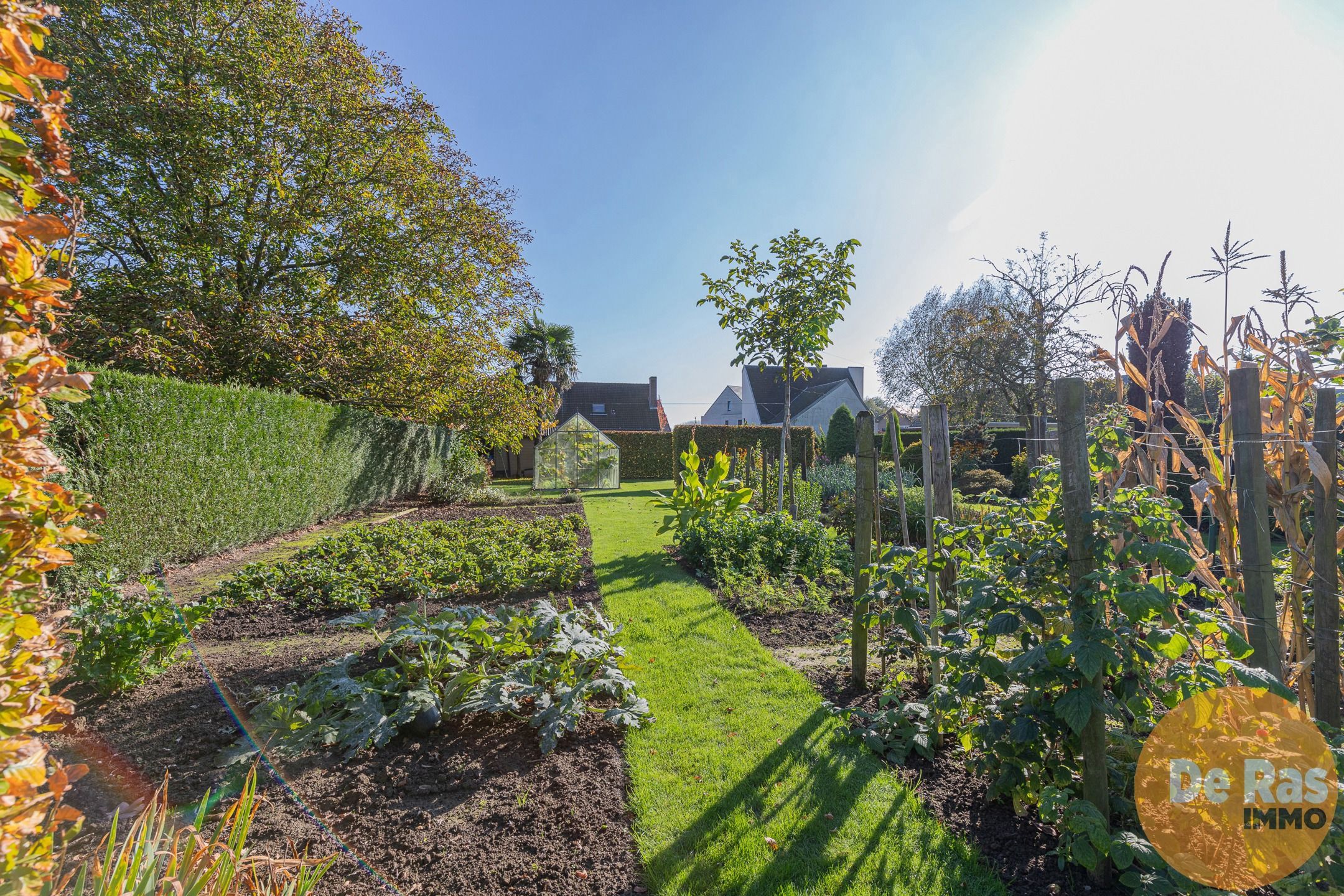 BAMBRUGGE - Verzorgde open bebouwing met aangelegde tuin foto 27